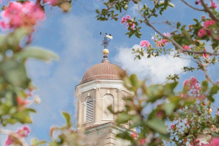 Storied Charleston Walking Tour by Author Liz Butler