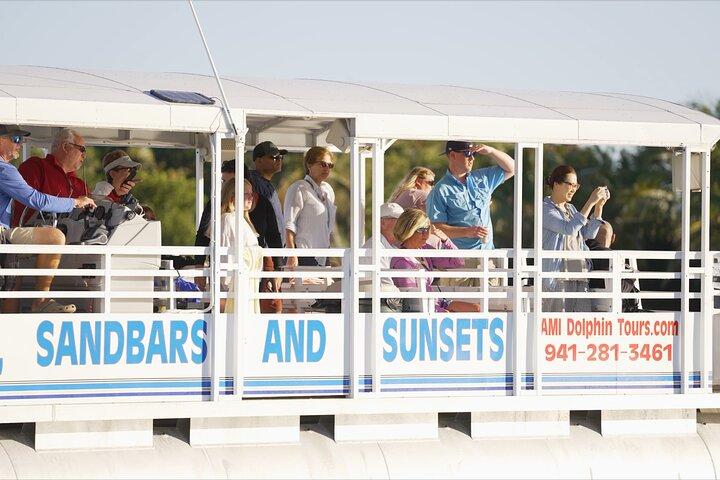 Anna Maria Island Dolphin Sightseeing Adventure