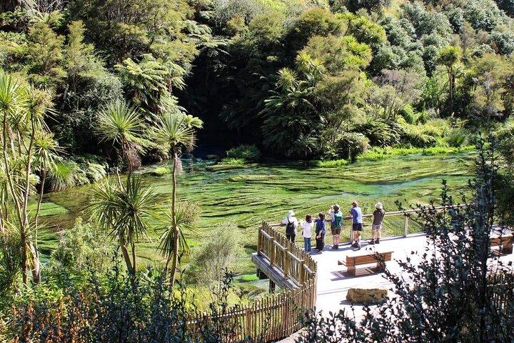 Hunua Falls and Blue Springs (Te Waihou): Private Tour
