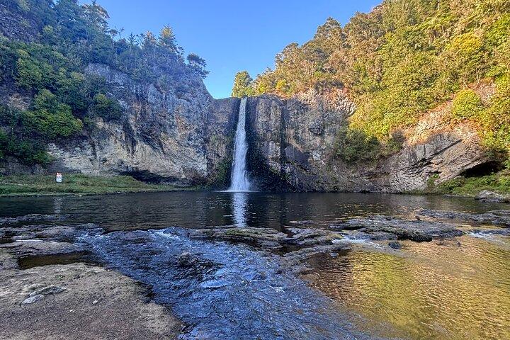 Hunua Falls and Blue Springs (Te Waihou): Private Tour