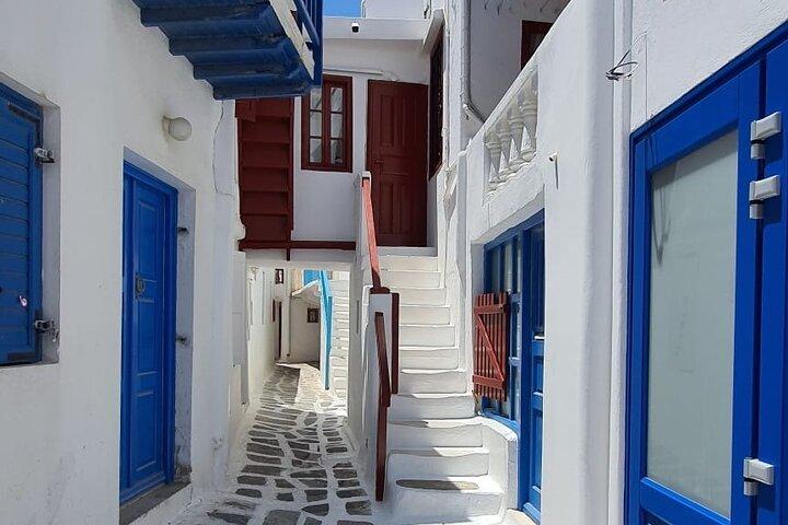 Mykonos In A Day Private Island Tour Covering All The Highlights