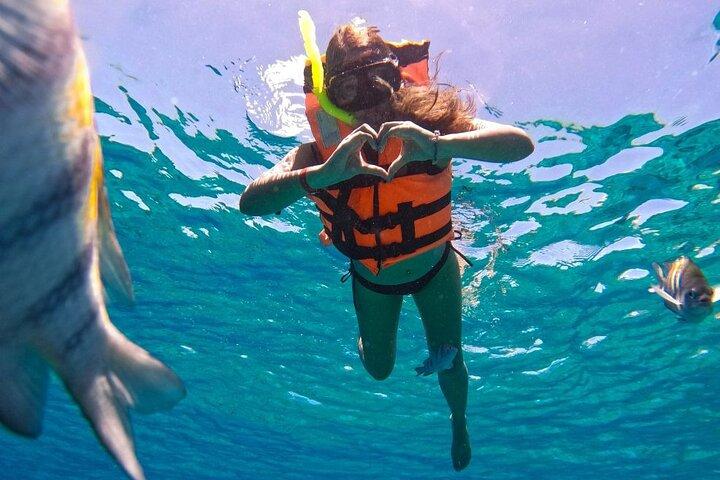Magnificent Exploration to El Cielo Palancar and Columbia Reefs