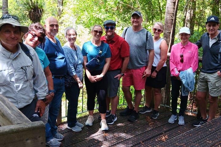 Kawiti Glow Worm Cave Tour & Opua Forest Walk