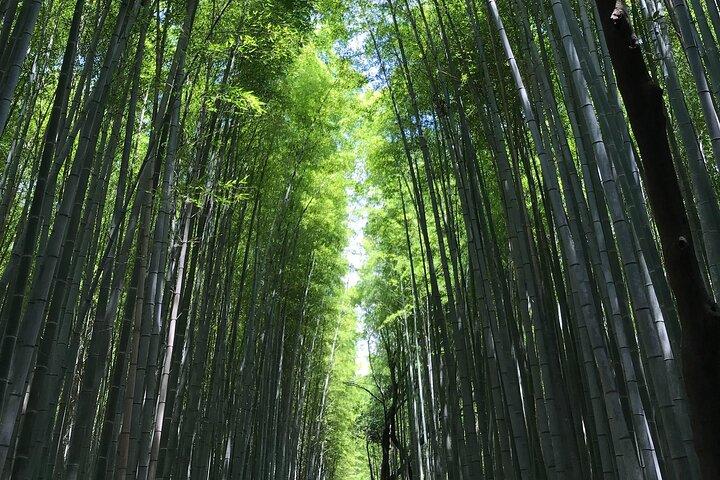Kyoto Arashiyama Tour: Iconic Sights and Hidden Treasures