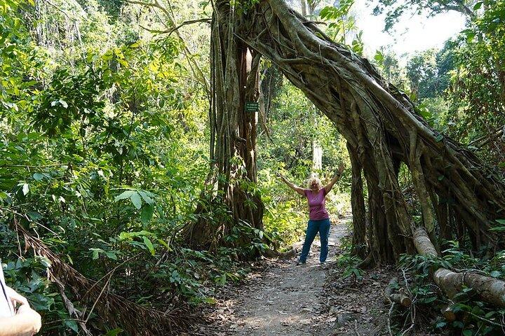 Cat Ba Trekking & Kayaking 3 days 2 nights