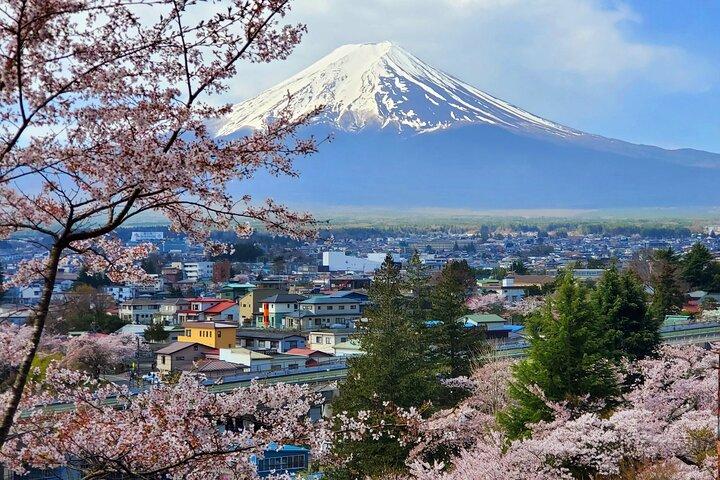 Mt. Fuji & Hakone Private Day Trip from Tokyo w/ English Guide