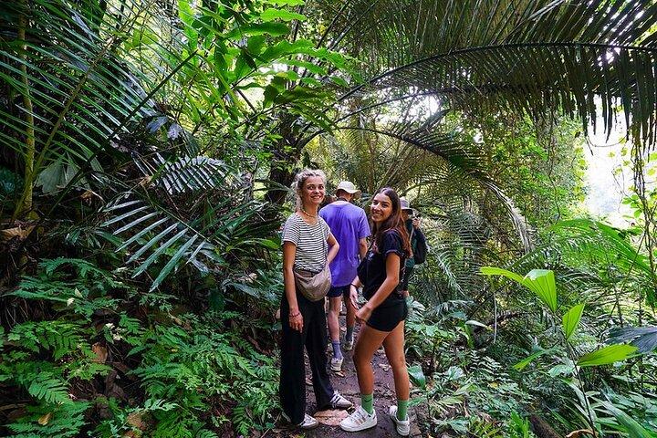 Tham Phay cave expedition & Jungle trekking 4 days 3 nights