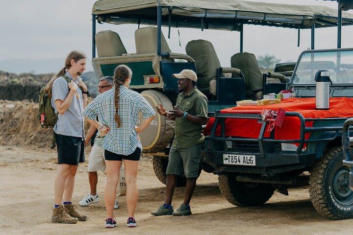 1-Day Mikumi National Park Fly-In Safari from Zanzibar