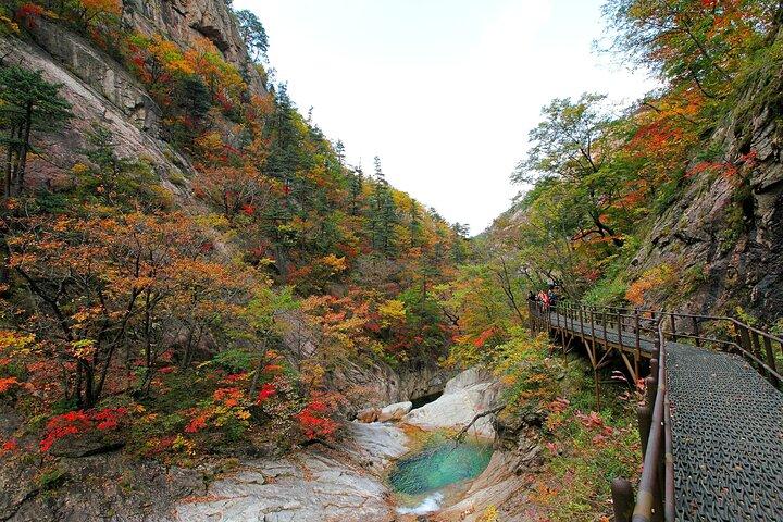 Private Mt.Seorak national park Tour and Sokcho