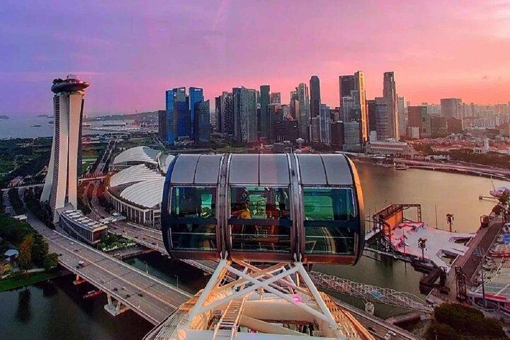 Singapore Flyer Ticket