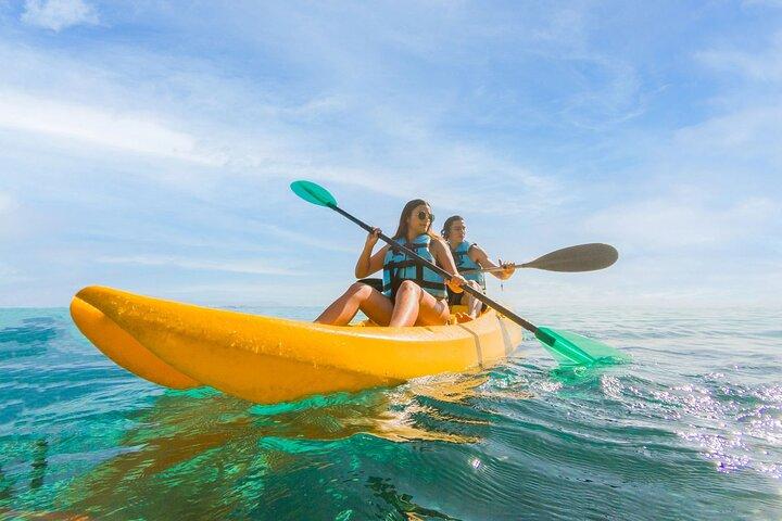Royal Garragon with Dolphin Encounter in Isla Mujeres