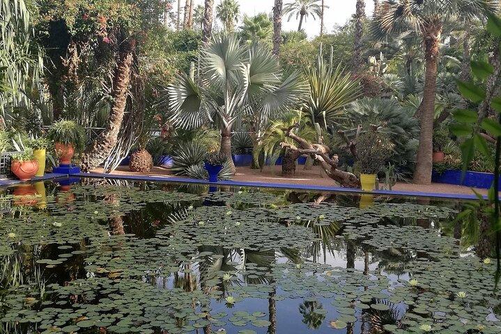 Marrakech Private Guided Half Day City Tour