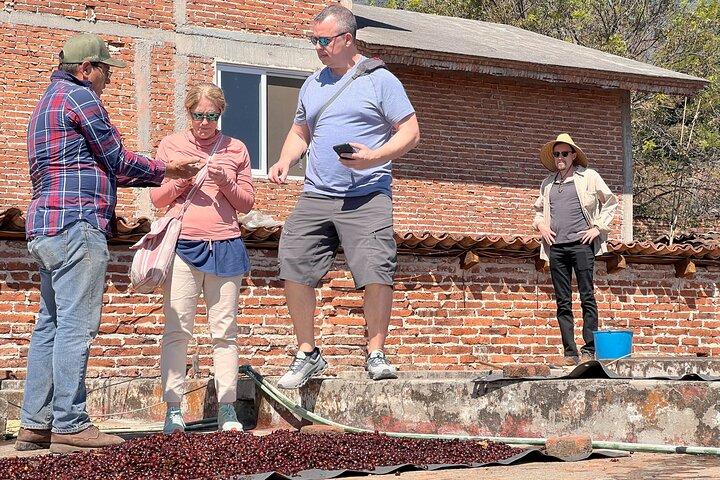 Wind TOUR: Mountains, Forests, Enigma Stones and Coffee Farms
