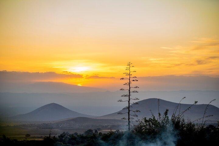 Tarangire National Park Private Tour Day Trip