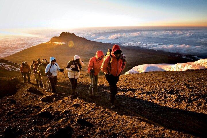 7 Days MT Kilimanjaro Private Hiking VIA Lemosho Route
