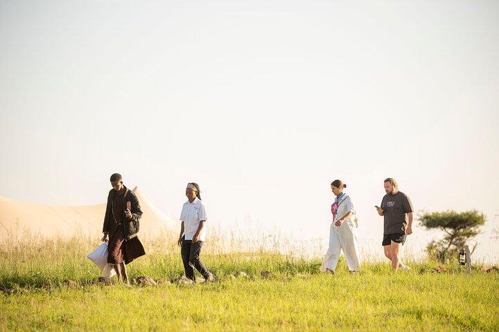 7-Days Private Budget Camping Safari with Walking Tour