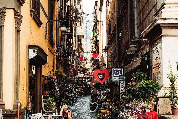 Naples Tour with Guide from Ischia
