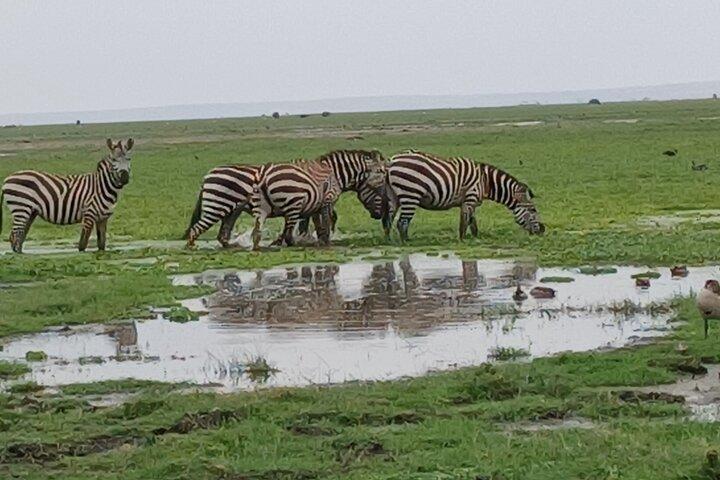 Memorable Group-Joining Nairobi Park Safari