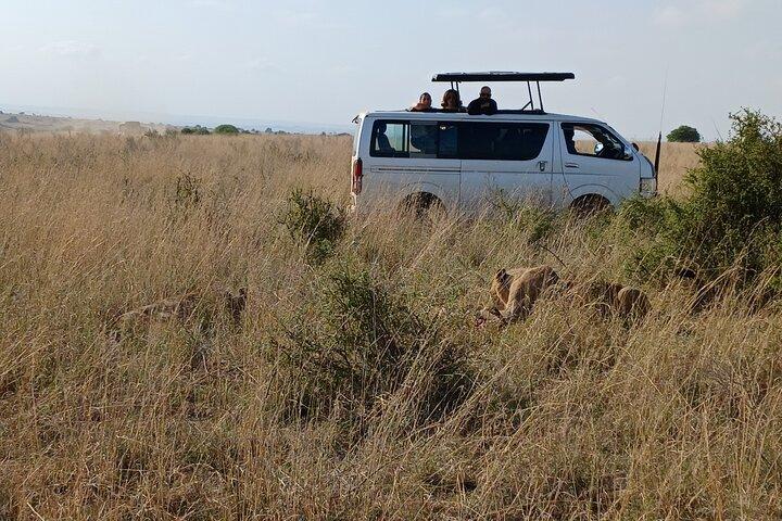Memorable Group-Joining Nairobi Park Safari