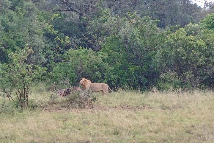 Memorable Group-Joining Nairobi Park Safari