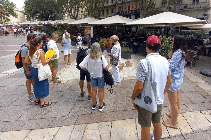 Enchanting Historical Walking Tour in Avignon