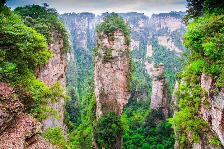 1 Day Avatar Mountain & Fores Park Group Tour with VIP Access
