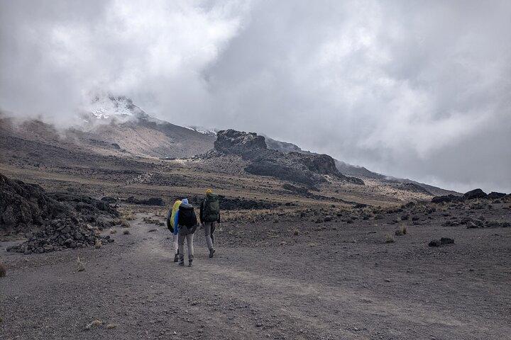 8 Days Mount Kilimanjaro Trek Via Lemosho