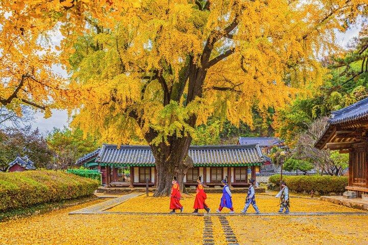 Private Jeonju Hanok Village - Culinary tour