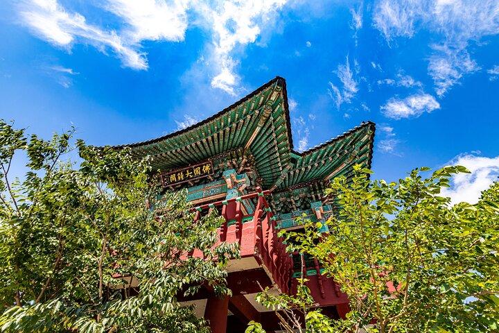 Full day Private Gyeongju UNESCO Heritage Tour : a glimpse into Silla