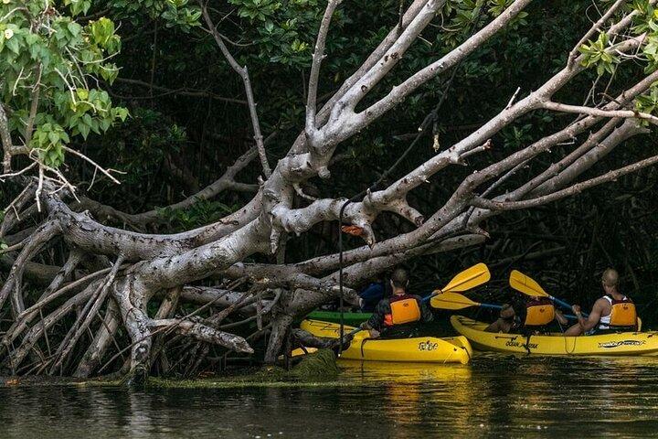 Fajardo Bioluminescent Bay Night Kayak Adventure from San Juan