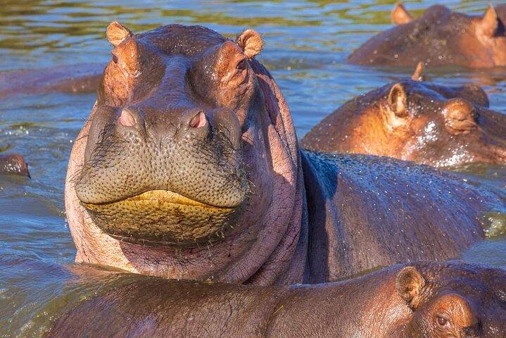 5-Day Safari Tour at Tarangire Serengeti and Ngorongoro Crater