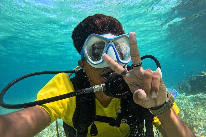 Dive into Ambergris Caye Belize Barrier Reef in Small Group