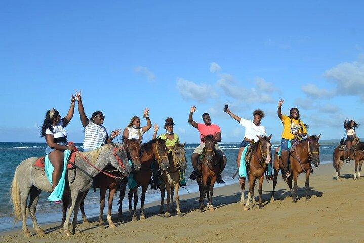 Beach Horseback Ride Tour in Puerto Plata - Scenic & Fun for All
