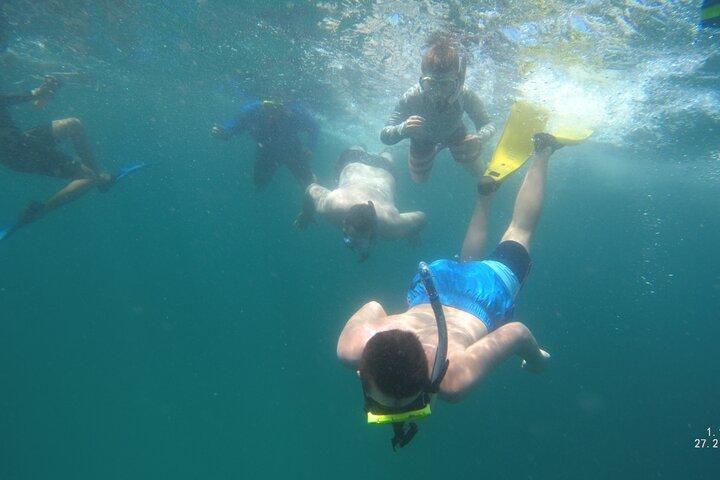 Snorkeling Experience at Catalina islands
