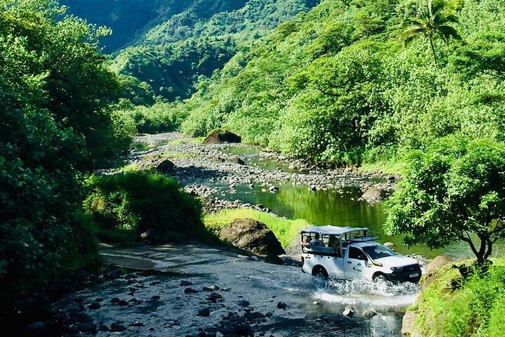 4x4 Safari HEREAKIMANU Tour in the Heart of Tahiti