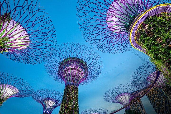 Singapore Night Extravaganza Cruise Light Shows and Satay Delight