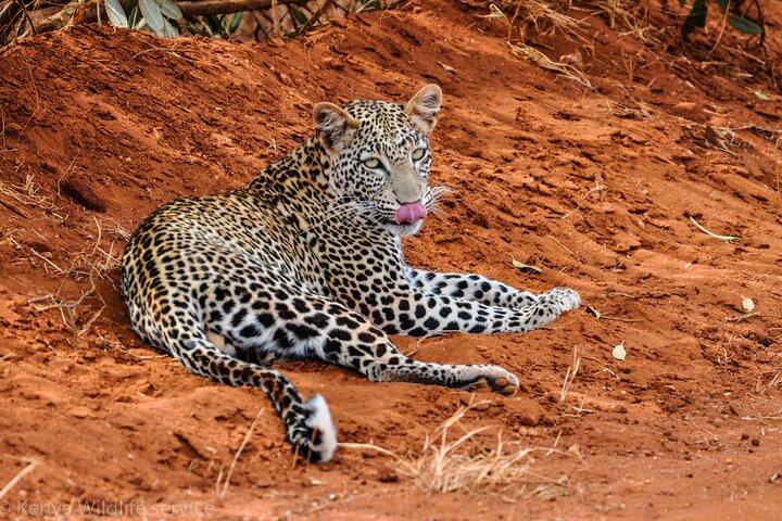 7 Days Nairobi to Mombasa Beach Holiday and Game Drive Safari