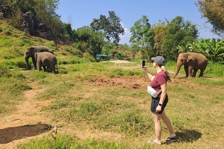 Elephant Sanctuary, Wat Ban Den & Sticky Waterfall
