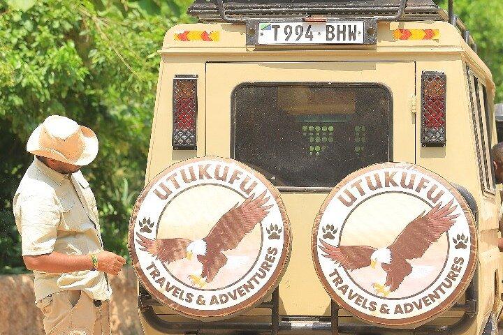 Experience the Midrange Safari in Tanzania