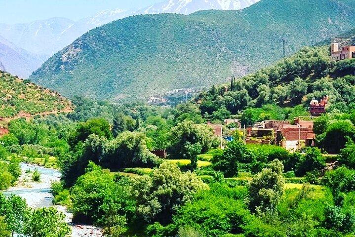 Atlas Mountains & Ourika Valley Day Trip Hikes and Berber Culture