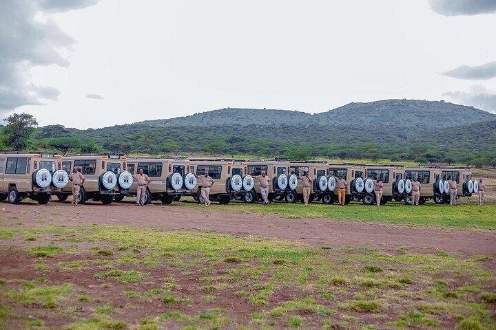 7-Day Luxury All-Inclusive Tanzania Great Migration Safari
