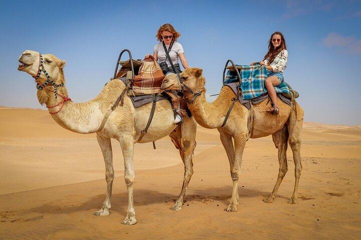 From Sharm El Sheikh: Cairo Pyramids Full-Day Tour by Plane