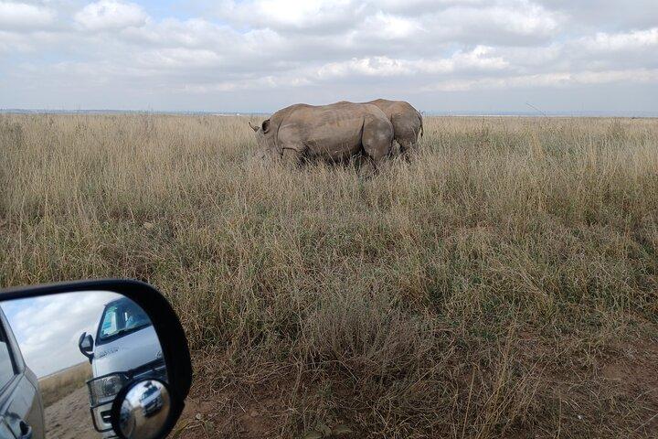 Private Nairobi Park Tour & Sheldrick or Giraffe-Free WI FI