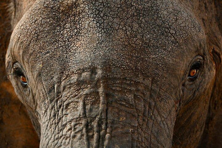 Day Trip Tarangire National Park
