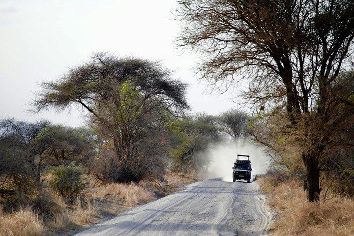 Day Trip Tarangire National Park