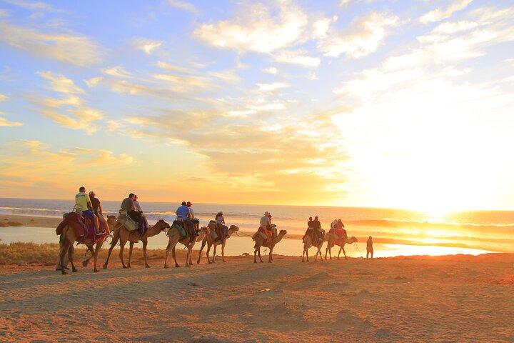 Beach UTV and Camel Ride Combo in Cabo