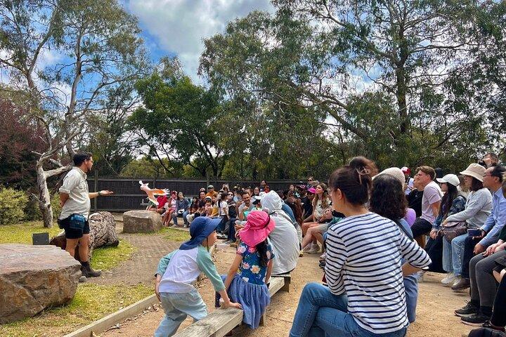 Phillip Island Penguins & Wildlife Day Tour from Melbourne