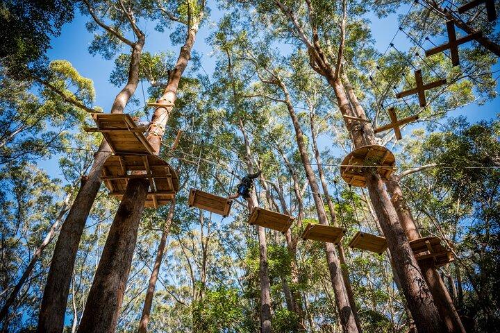 Western Sydney Tree Ropes Course