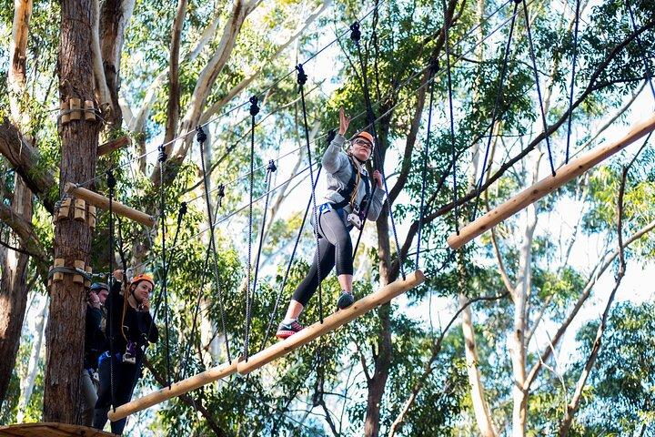 Western Sydney Tree Ropes Course