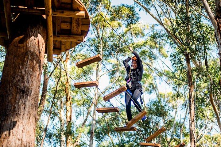 Western Sydney Tree Ropes Course